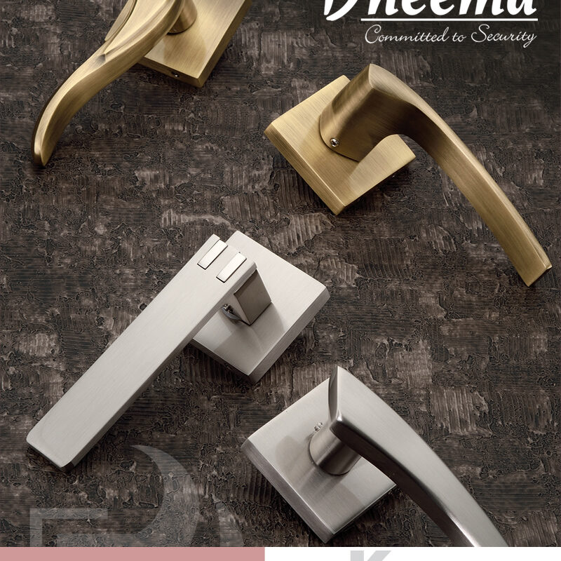 dneema-2